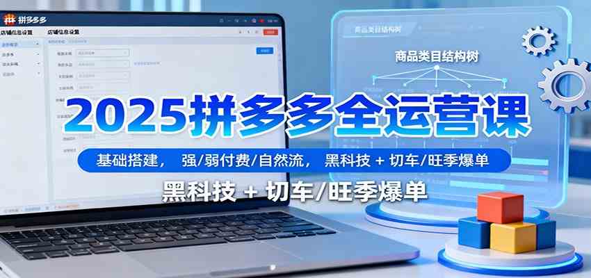 2025拼多多全运营课：基础搭建，强/弱付费/自然流，黑科技 + 切车/旺季爆单-创业项目网