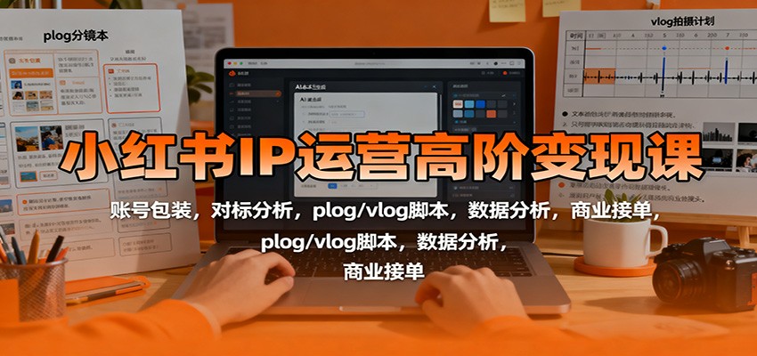 小红书IP运营高阶变现课：账号包装，对标分析，plog/vlog脚本，数据分析，商业接单-创业项目网