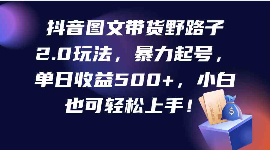 （9790期）抖音图文带货野路子2.0玩法，暴力起号，单日收益500+，小白也可轻松上手！-创业项目网