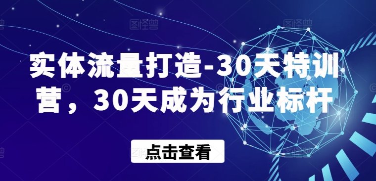 实体流量打造-30天特训营，30天成为行业标杆-创业项目网