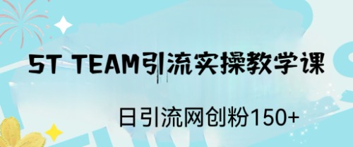 ST TEAM引流实操课，日引流网创粉100+-创业项目网