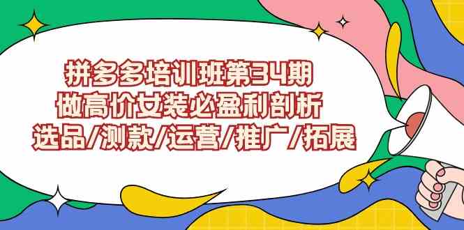 （9333期）拼多多培训班第34期：做高价女装必盈利剖析  选品/测款/运营/推广/拓展-创业项目网