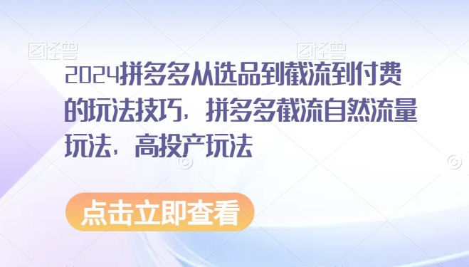 2024拼多多从选品到截流到付费的玩法技巧，拼多多截流自然流量玩法，高投产玩法-创业项目网