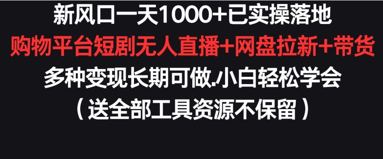 新风口一天1000+已实操落地购物平台短剧无人直播+网盘拉新+带货多种变现长期可做-创业项目网