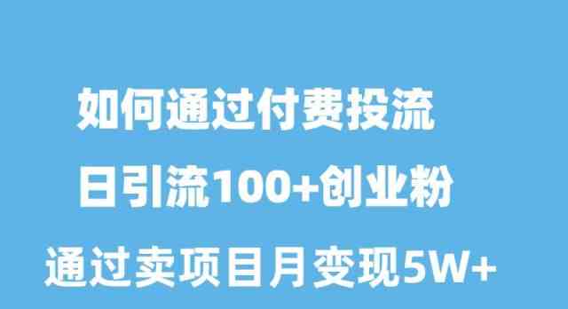 （10189期）如何通过付费投流日引流100+创业粉月变现5W+-创业项目网