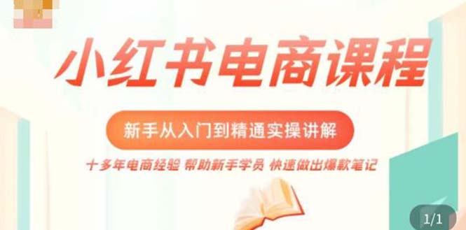 小红书电商新手入门到精通实操课，从入门到精通做爆款笔记，开店运营-创业项目网