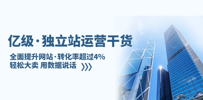 亿级·独立站运营干货：全面提升网站·转化率超过4%，轻松大卖 用数据说话-创业项目网