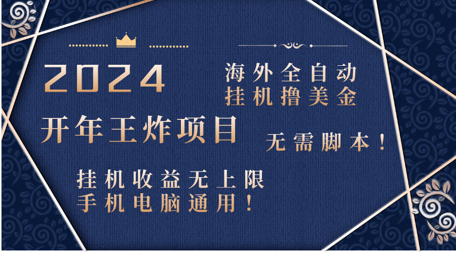 2024海外全自动挂机撸美金项目！手机电脑均可，无需脚本，收益无上限！-创业项目网