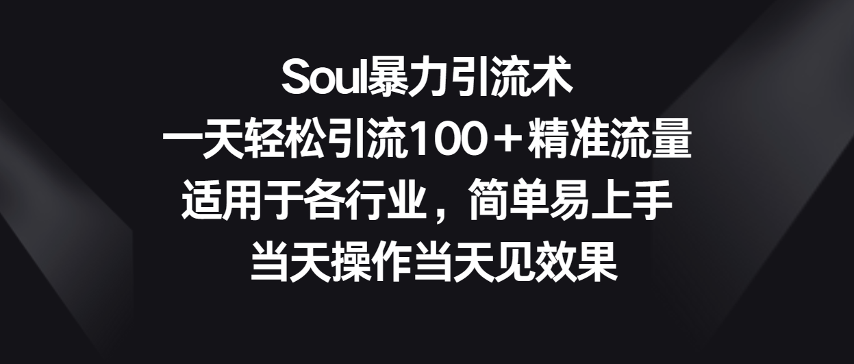 Soul暴力引流术，一天轻松引流100＋精准流量，适用于各行业，简单易上手！-创业项目网