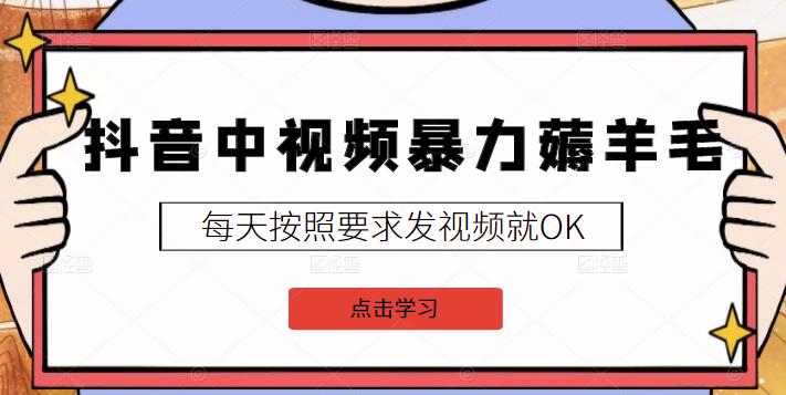 2022抖音中视频暴力薅羊毛白嫖项目：新号每天20块，老号几天几百块，可多号￼-创业项目网