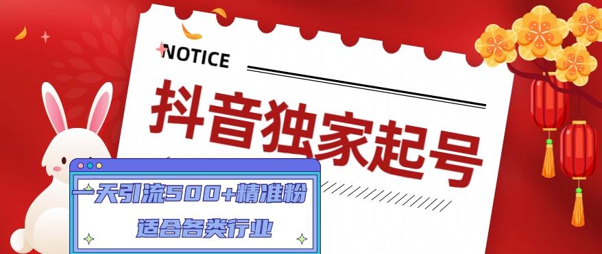 抖音独家起号，一天引流500+精准粉，适合各类行业（9节视频课）-创业项目网