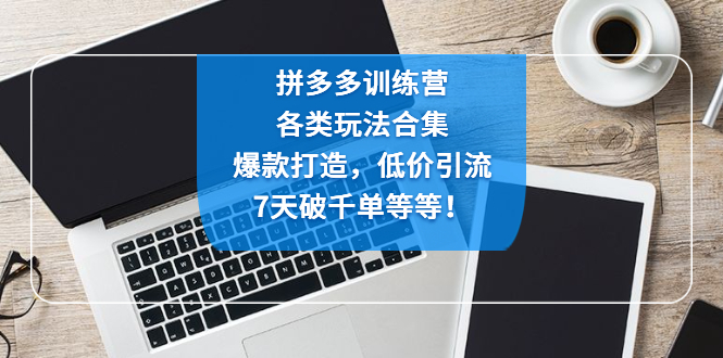 拼多多训练营：各玩法合集，爆款打造，低价引流，7天破千单等等！-创业项目网