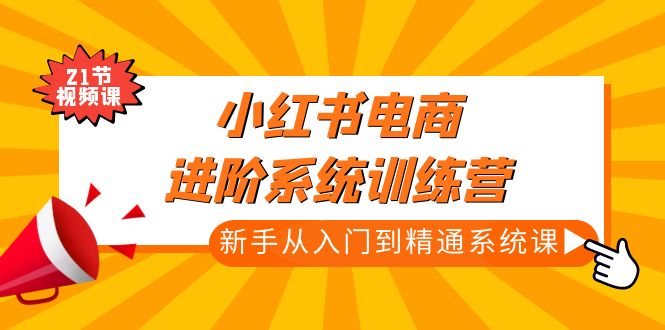 小红书电商进阶系统训练营：新手从入门到精通系统课（21节视频课）-创业项目网