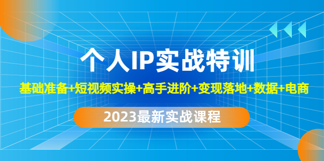 2023个人IP实战特训：基础准备+短视频实操+高手进阶+变现落地+数据+电商-创业项目网