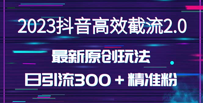 日引300＋创业粉，独家抖音高效截流2.0玩法（价值1280）-创业项目网