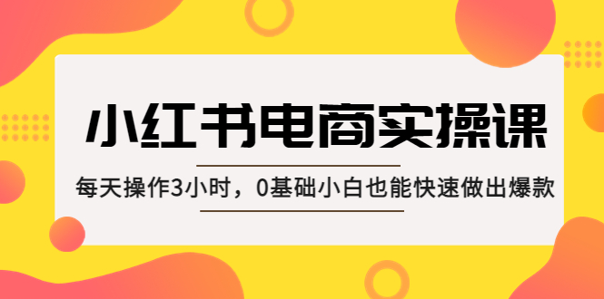 小红书·电商实操课：每天操作3小时，0基础小白也能快速做出爆款！-创业项目网