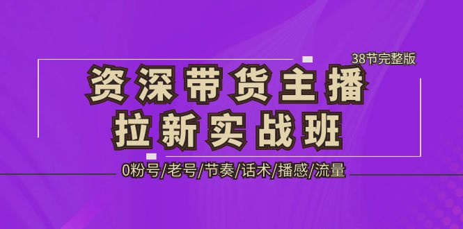 资深·带货主播拉新实战班，0粉号/老号/节奏/话术/播感/流量-38节完整版-创业项目网