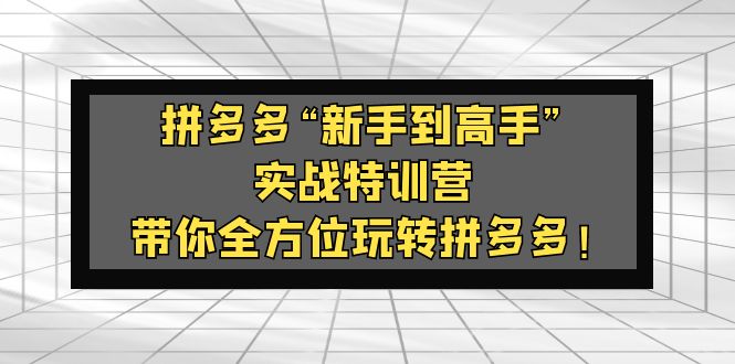 拼多多“新手到高手”实战特训营：带你全方位玩转拼多多！-创业项目网