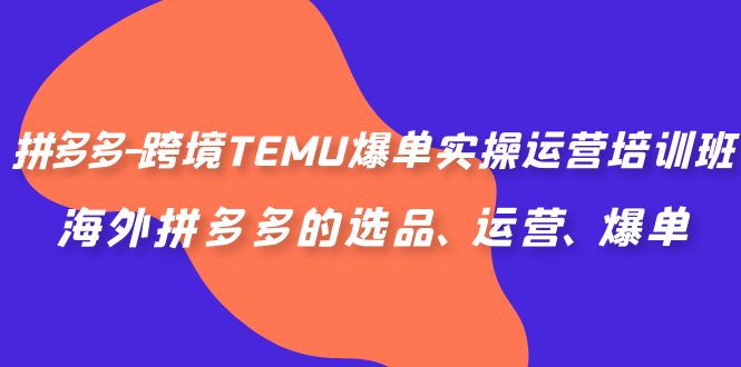 拼多多-跨境TEMU爆单实操运营培训班，海外拼多多的选品、运营、爆单-创业项目网