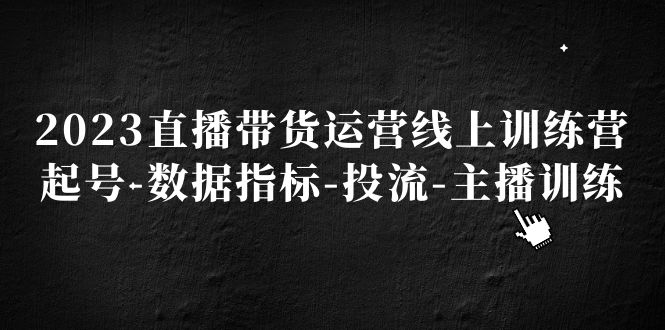 2023直播带货运营线上训练营，起号-数据指标-投流-主播训练-创业项目网