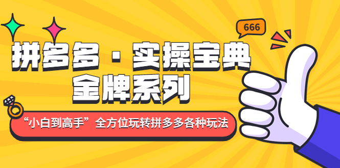 拼多多·实操宝典：金牌系列“小白到高手”带你全方位玩转拼多多各种玩法-创业项目网