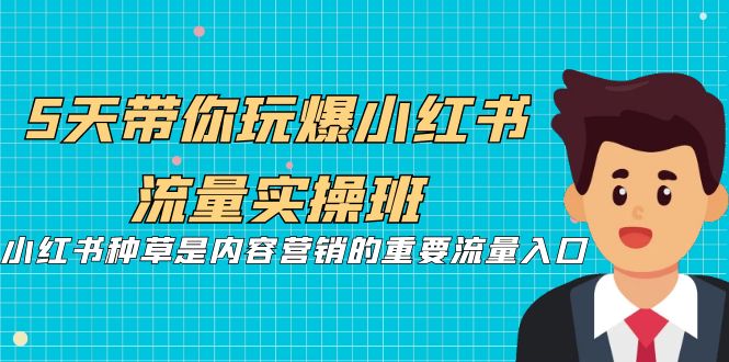 5天带你玩爆小红书流量实操班，小红书种草是内容营销的重要流量入口-创业项目网