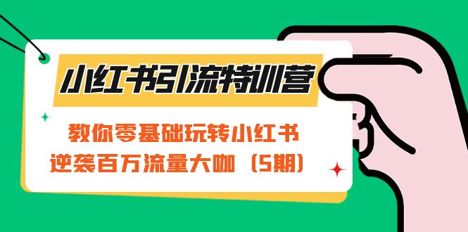 小红书引流特训营-第5期：教你零基础玩转小红书，逆袭百万流量大咖-创业项目网