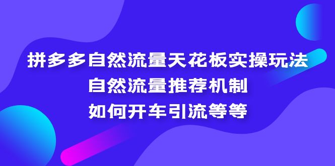 拼多多自然流量天花板实操玩法：自然流量推荐机制，如何开车引流等等-创业项目网