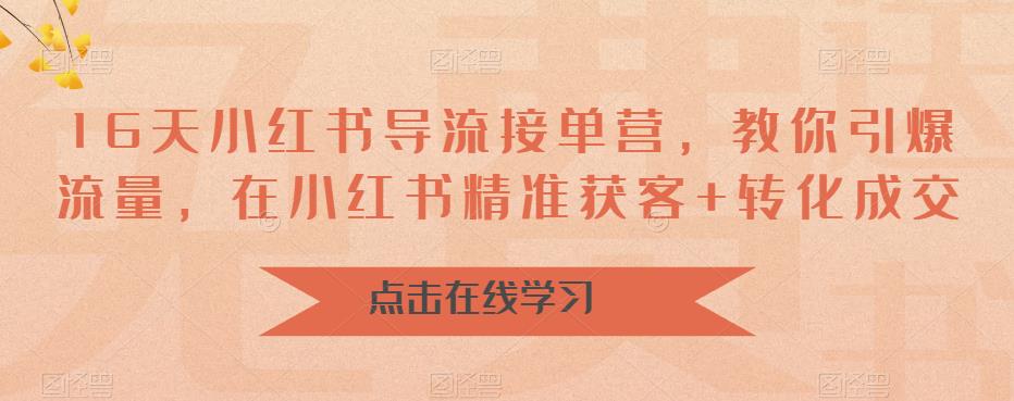 16天-小红书 导流接单营，教你引爆流量，在小红书精准获客+转化成交-创业项目网