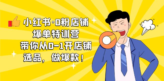 小红书·0粉店铺爆单特训营 带你从0-1开店铺，选品，做爆款（课程+工具包）-创业项目网