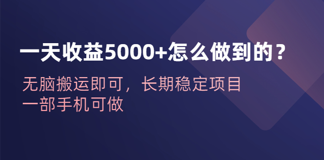 一天收益5000+怎么做到的？无脑搬运即可，长期稳定项目，一部手机可做-创业项目网