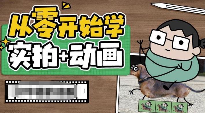 从零开始学实拍加动画，实拍加动画创意教程（49节视频课）-创业项目网