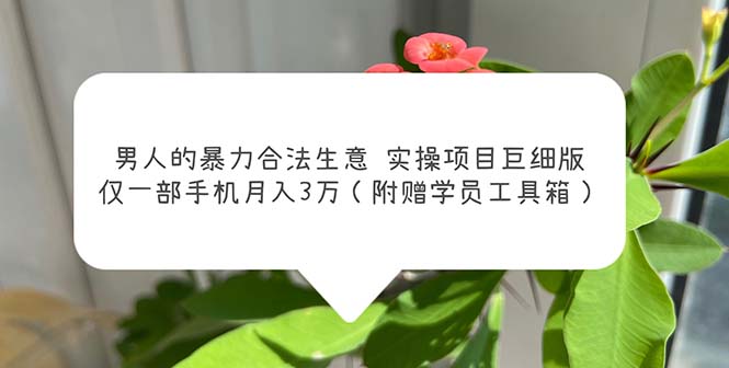 男人的暴力合法生意实操项目巨细版：仅一部手机月入3w（附赠学员工具箱）-创业项目网