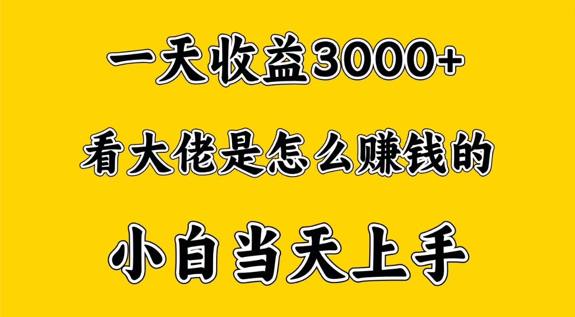 一天赚3000多，大佬是这样赚到钱的，小白当天上手，穷人翻身项目-创业项目网