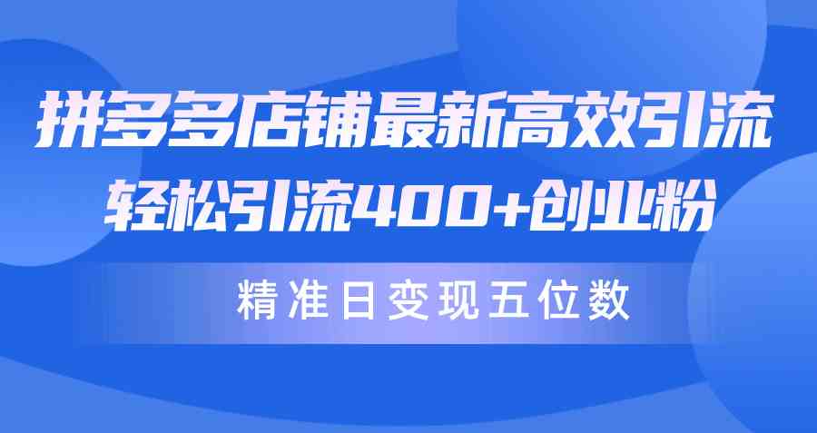 （10041期）拼多多店铺最新高效引流术，轻松引流400+创业粉，精准日变现五位数！-创业项目网