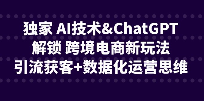 独家 AI技术&ChatGPT解锁 跨境电商新玩法，引流获客+数据化运营思维-创业项目网