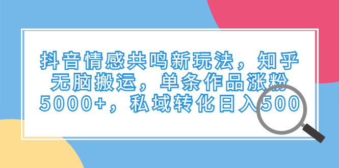 抖音情感共鸣新玩法，知乎无脑搬运，单条作品涨粉5000+，私域转化日入500-创业项目网