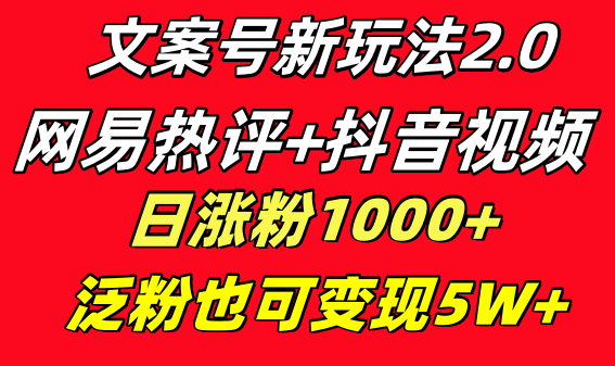 文案号新玩法 网易热评+抖音文案 一天涨粉1000+ 多种变现模式 泛粉也可变现-创业项目网