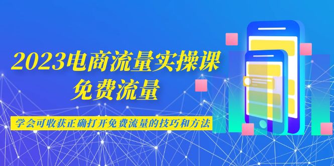 2023电商流量实操课-免费流量，学会可收获正确打开免费流量的技巧和方法-创业项目网