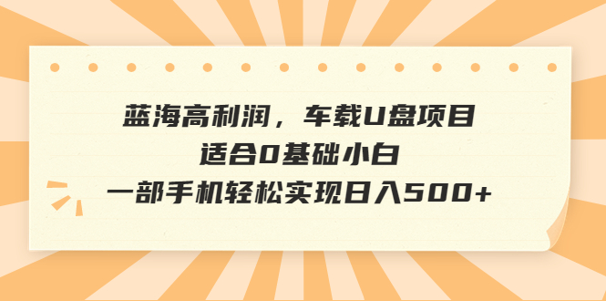 蓝海高利润，车载U盘项目，适合0基础小白，一部手机轻松实现日入500+-创业项目网