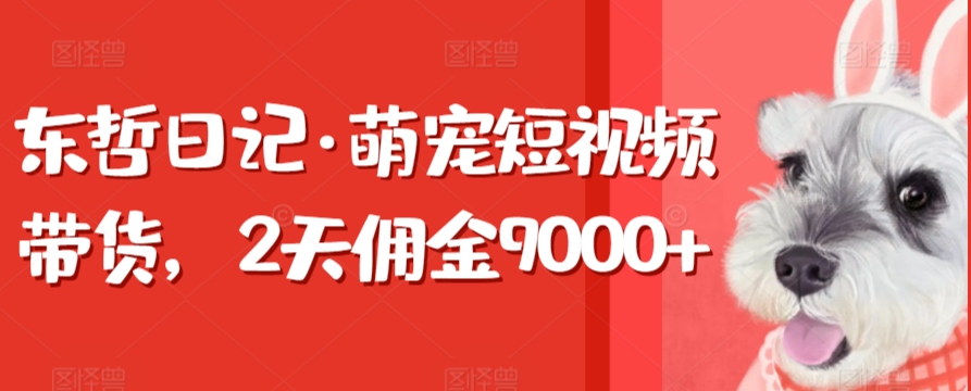 东哲日记·萌宠短视频带货，2天佣金9000+-创业项目网