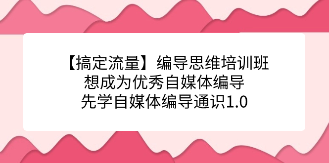 【搞定流量】编导思维培训班，想成为优秀自媒体编导先学自媒体编导通识1.0-创业项目网