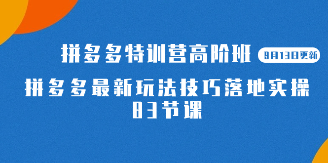 2023拼多多·特训营高阶班【9月19日更新】拼多多最新玩法技巧落地实操-83节-创业项目网