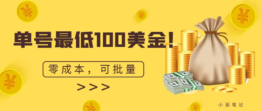 单号最低100美金，零成本，小白无脑操作。可复制，可扩大。-创业项目网