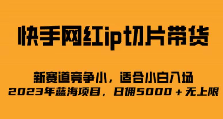 快手网红ip切片新赛道，竞争小事，适合小白 2023蓝海项目-创业项目网