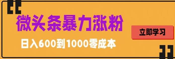 微头条暴力涨粉技巧搬运文案就能涨几万粉丝，简单0成本，日赚600-创业项目网