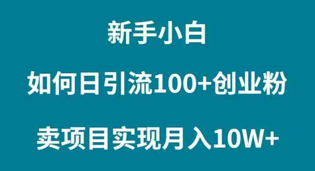 （9556期）新手小白如何通过卖项目实现月入10W+-创业项目网