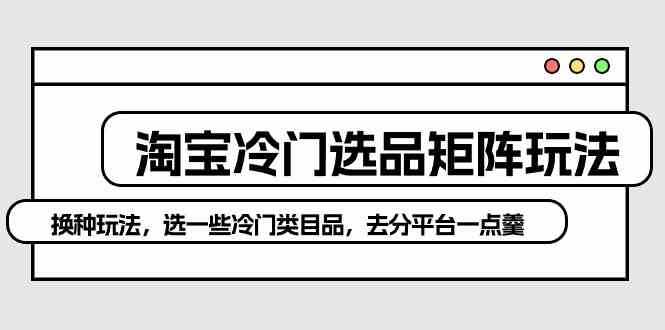 （10159期）淘宝冷门选品矩阵玩法：换种玩法，选一些冷门类目品，去分平台一点羹-创业项目网