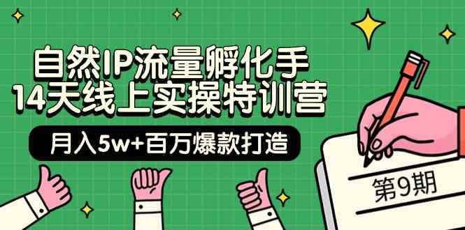 （9881期）自然IP流量孵化手 14天线上实操特训营【第9期】月入5w+百万爆款打造 (74节)-创业项目网