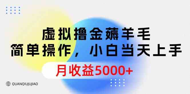 （9864期）虚拟撸金薅羊毛，简单操作，小白当天上手，月收益5000+-创业项目网